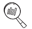 Search Icon